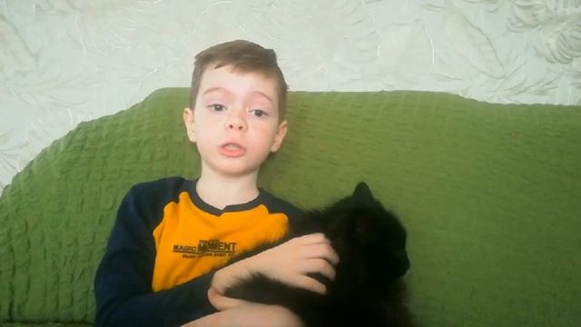 Серпантин детской поэзии. Лучшее индивид исполнение стихотворения (7-10 лет). Самылкин Кирилл смотреть онлайн