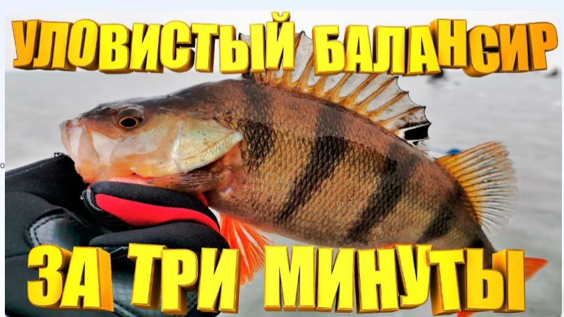 Он Реально ловит САМОДЕЛЬНЫЙ БАЛАНСИР для зимней рыбалки смотреть онлайн
