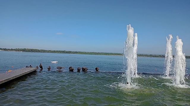 💦✨ фонтан на набережной Волги в Самаре: он не просто бьёт — он говорит