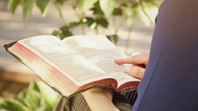 Почему важно научить детей 
выражать благодарность?