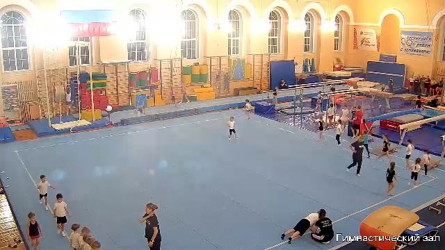 Оздоровительная гимнастика смотреть онлайн