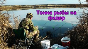 ФИДЕР-КЛАССИКА и ДОНКА-РЕЗИНКА. Так не клевало даже летом! #рыбалка #фидер #карась #сазан #карп