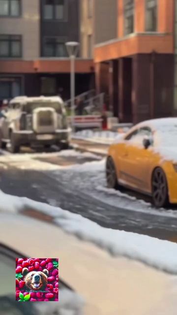 Ля ты крыса смотреть онлайн