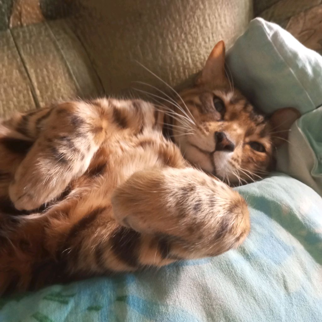 рыбак правильной рыбалки