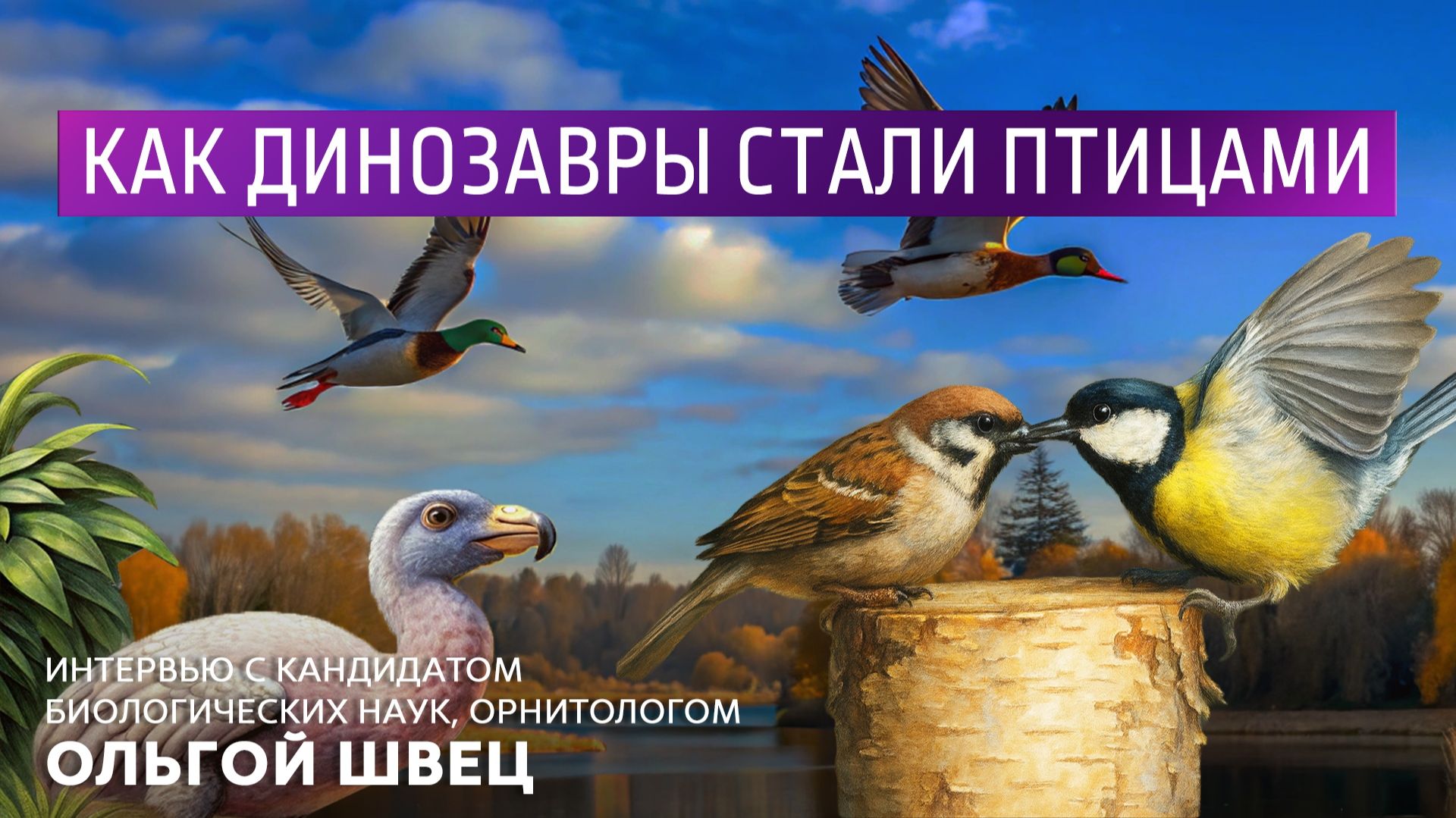 Как динозавры стали птицами. Интервью с кандидатом биологических наук, орнитологом Ольгой Швец. смотреть онлайн