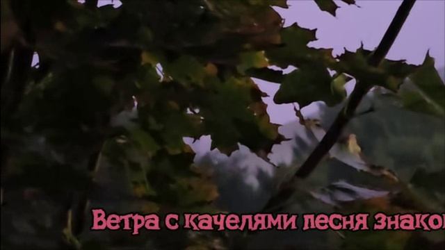 Вновь на ветру заскрипели качели