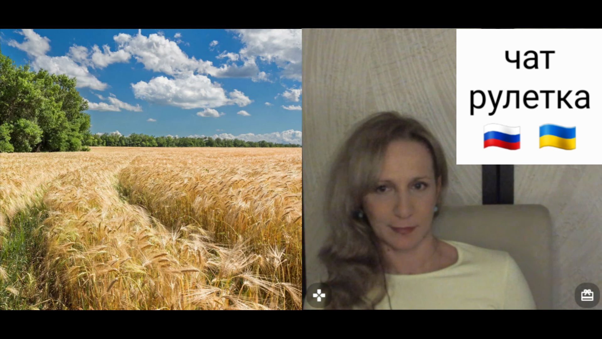 Собеседник из Украины. Чат рулетка Россия-Украина