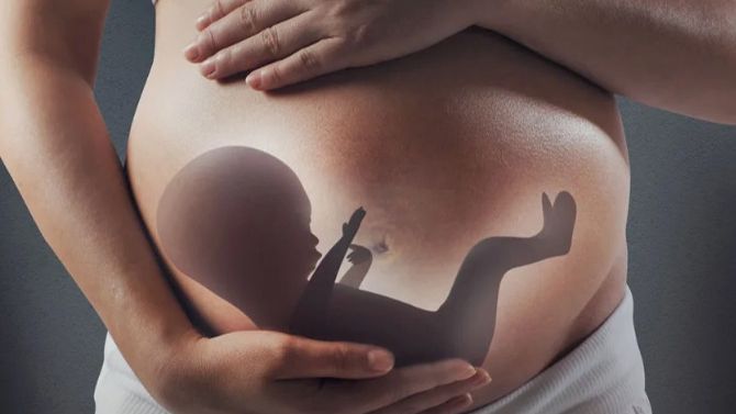 Задержка развития плода смотреть онлайн