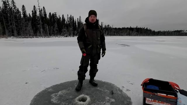 ТРОФЕЙ НА ЖЕРЛИЦЫ. РЫБАЛКА НА ЖЕРЛИЦЫ НА ЛЕСНОМ ОЗЕРЕ. РЫБАЛКА НА САМОЛОВКИ ПО ПЕРВОМУ ЛЬДУ смотреть онлайн