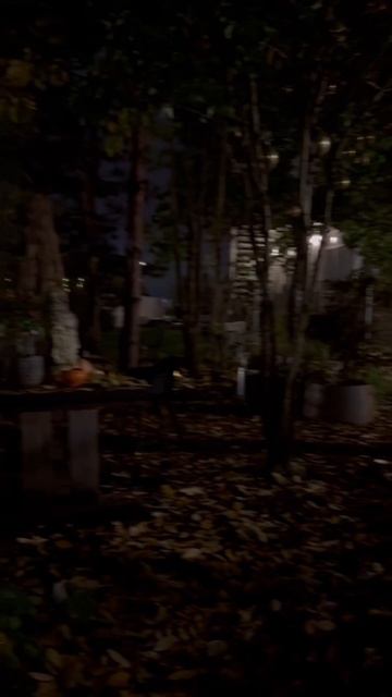 Что может быть лучше вечерней прогулки? Правильно! Только вечерняя прогулка по саду Татьяны 🤌🏻 смотреть онлайн