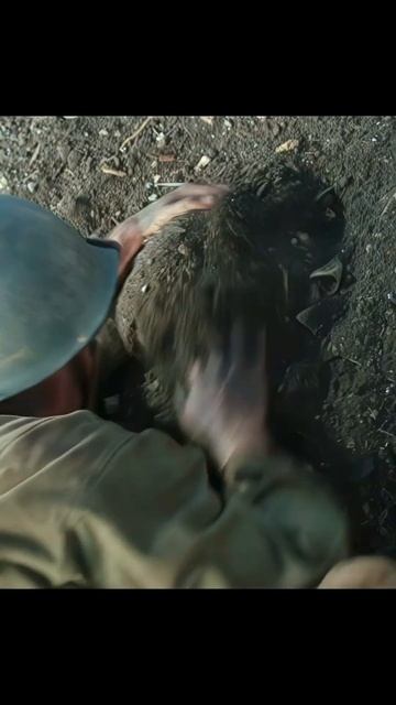 Спас всех своих раненых товарищей рискуя своей жизнью смотреть онлайн