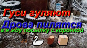 Снег выпал, дрова заготавливал, грунтозацепы в процессе.