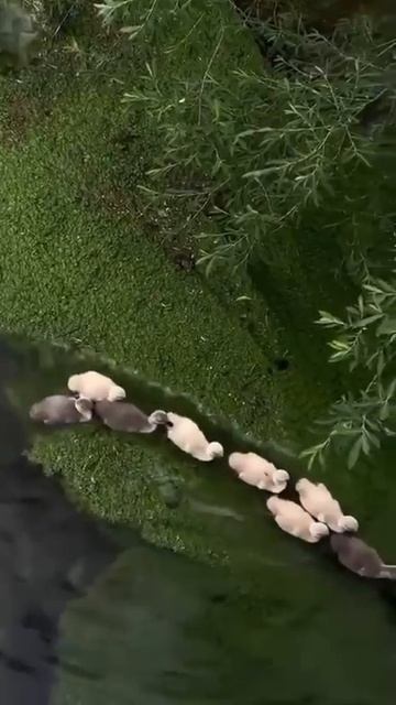 Мира всем и здоровья