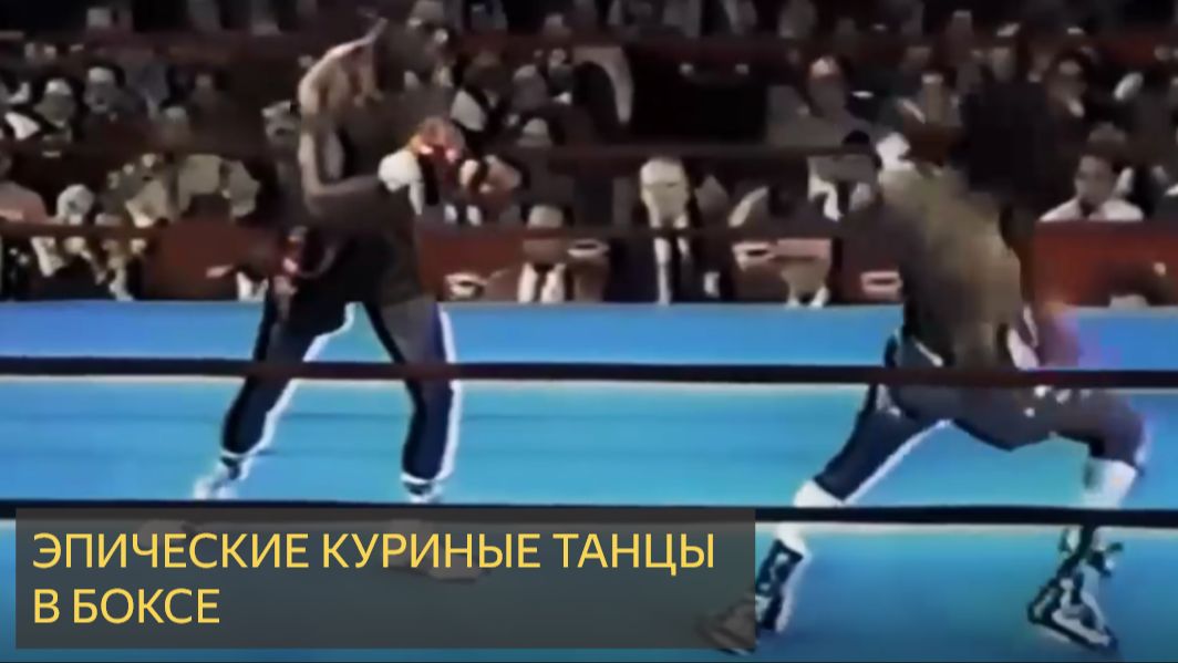 ЭПИЧЕСКИЕ КУРИНЫЕ ТАНЦЫ в истории бокса смотреть онлайн