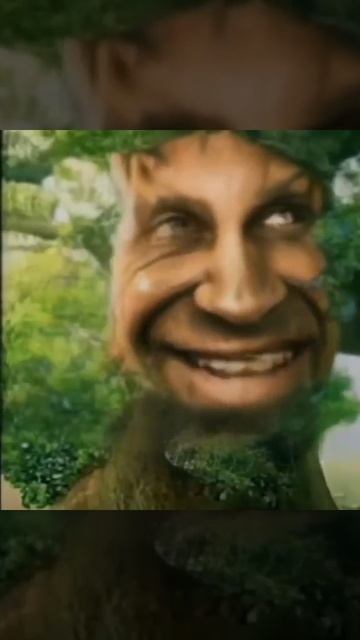 Дерево что-то поёт смотреть онлайн