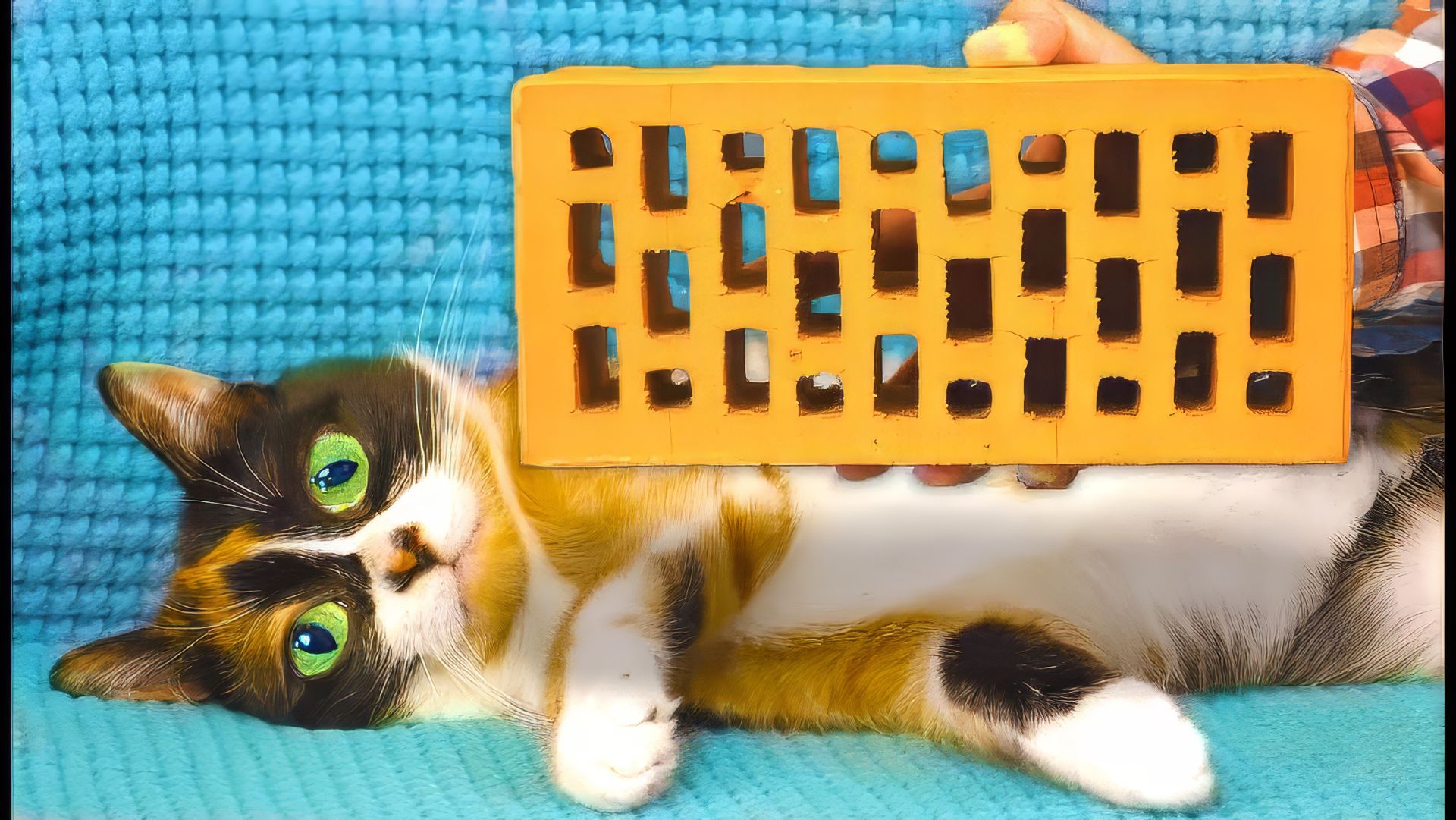 КАК СДЕЛАТЬ КОНДИЦИОНЕР ИЗ КИРПИЧА смотреть онлайн