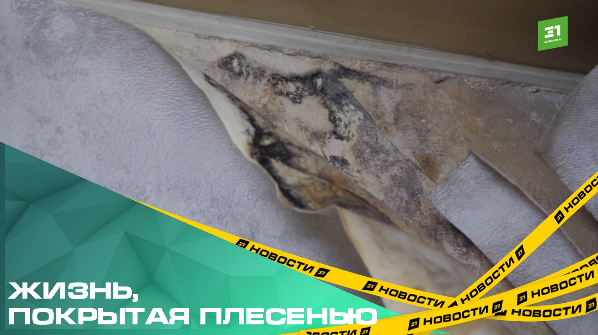 Жизнь, покрытая плесенью. Жители Ленинского района жалуются на протекающую крышу смотреть онлайн