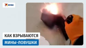 Как маскируют мины-ловушки: никогда не поднимайте бесхозные вещи!