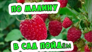По малину в сад пойдём, плясовую заведём / Ирин ДОМ / Песни для Детей
