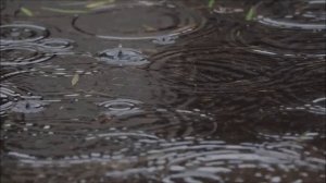 Вспомним.  Евгений Осин.