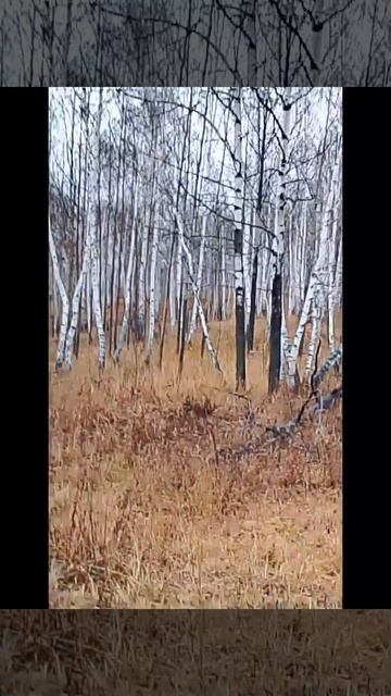 только дождись