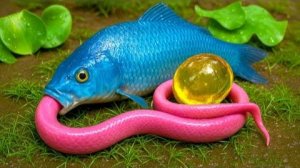 Игра с кальмарами в режиме "Стоп-моушн", Пертарунган, Икан, Кои Эмас и Белут, Примитивное