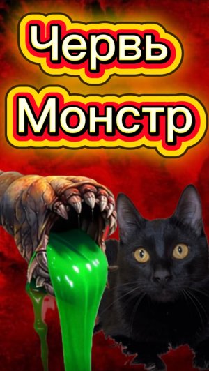 ОН ЧТО СТИРАЛСЯ? 🙀 #кот #кошка #котики #животные #ужасы #страшно #червьмонстр