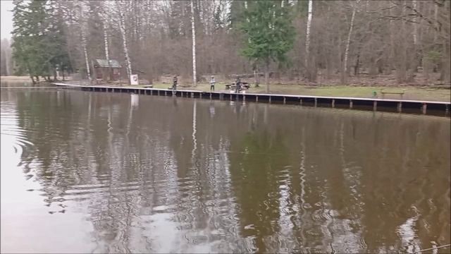 Форель реагирует на блесну. Рыбалка на спорт зоне. Клёвое место лосиный остров смотреть онлайн