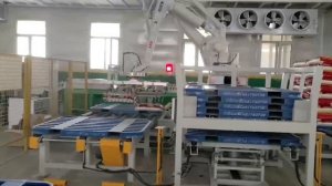 Роботизированный манипулятор с двухзахватным гриппером