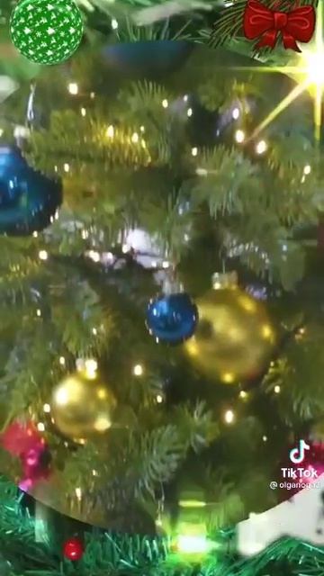 Бл, это моё первое видио! смотреть онлайн