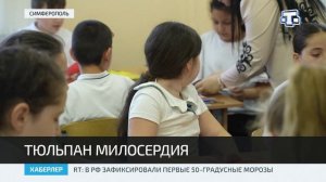 В Крыму стартовала акция «Тюльпан милосердия»
