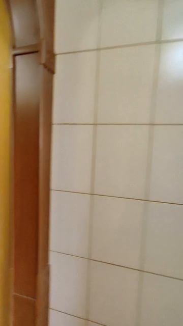 Lv_0_20240812151510.mp4