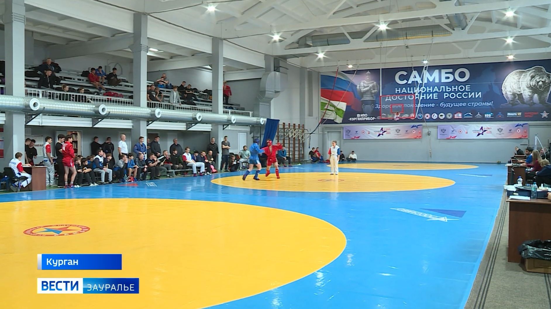 Боевое самбо, волейбол и тхэквондо смотреть онлайн