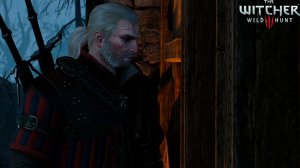 Ведьмак 3 - Выбор Трисс #15 - Остров Туманов