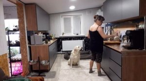 Приехала из города , чего привезла