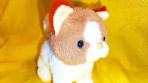 Мультик котик.Котики.Кот.Кошка.Котёнок.Игрушка для детей.Игрушки для детей.Игрушка робо.Роботы.Котэ