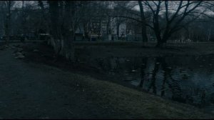 Самара.Утки в пруду #mcpro24fps #vivox200pro #djiom6 #samara #лето #zov #Россия #anamorphic