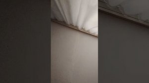 Игорь лошара