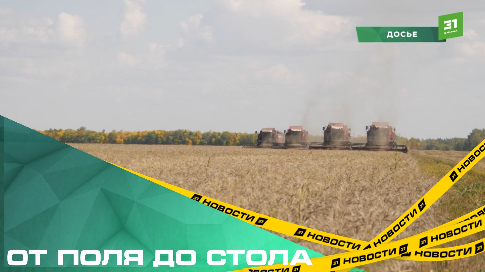 От поля до стола. Лучшие агрономы получили заслуженное признание за свой нелегкий труд смотреть онлайн