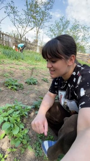 Что выросло у родителей в огороде.