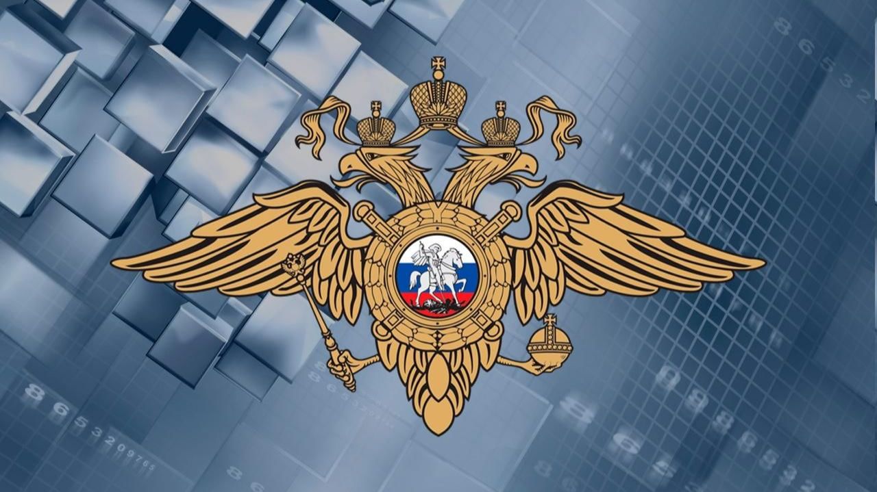 Всероссийский институт повышения квалификации сотрудников МВД России смотреть онлайн