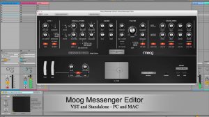 Momo Müller Moog Messenger Editor