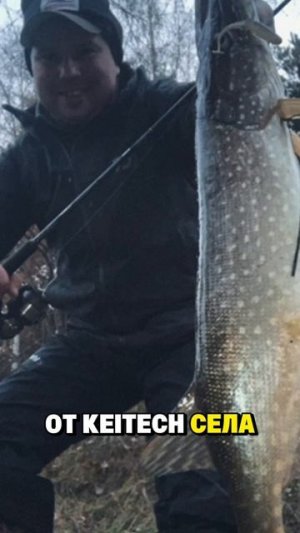 Рыболовный дабстеп! 🎤 На него клюют отличные щучки!  #TeamMida