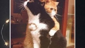 Приколы, юмор, анекдоты 🔥