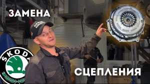 Skoda Octavia Scout. Замена сцепления МКПП
