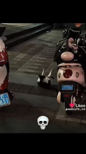 1000002150.mp4 смотреть онлайн