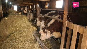 Из "нефтянки" в фермерство. Агрокурьер