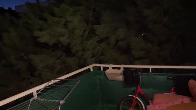 IMG_20251125_223513_378.mp4 смотреть онлайн