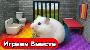 УМНЫЙ ХОМЯК ВЫБИРАЕТСЯ ИЗ СУПЕР СЕКРЕТНОЙ ТЮРЬМЫ ДЛЯ ХОМЯКОВ 🐹 ВИДЕО ДЛЯ ДЕТЕЙ