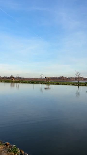 Какой поводок и лучше всего использовать? смотреть онлайн